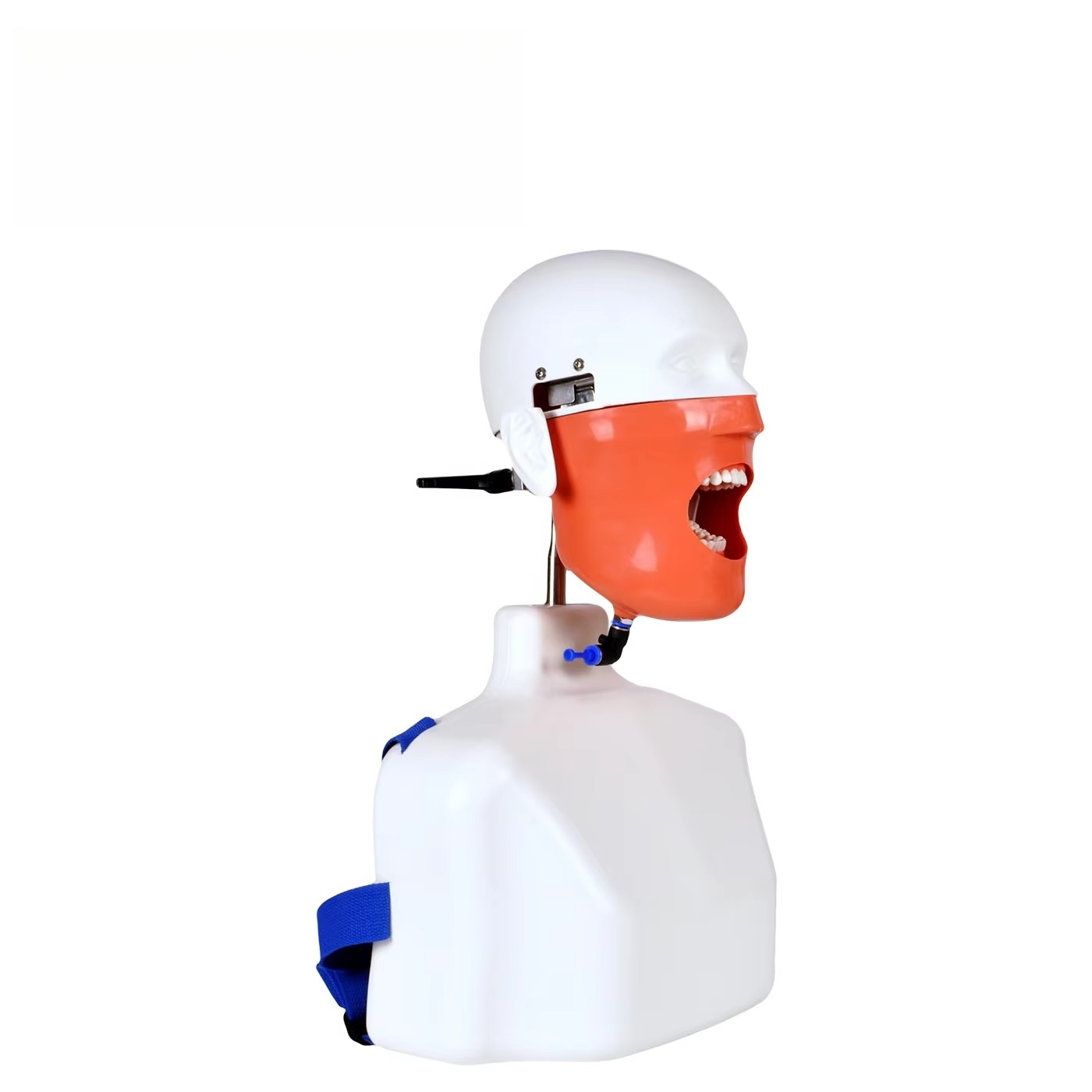 Medical Laboratory Science - Lab Educational Chair-Mounted Dental Simulator Manikin