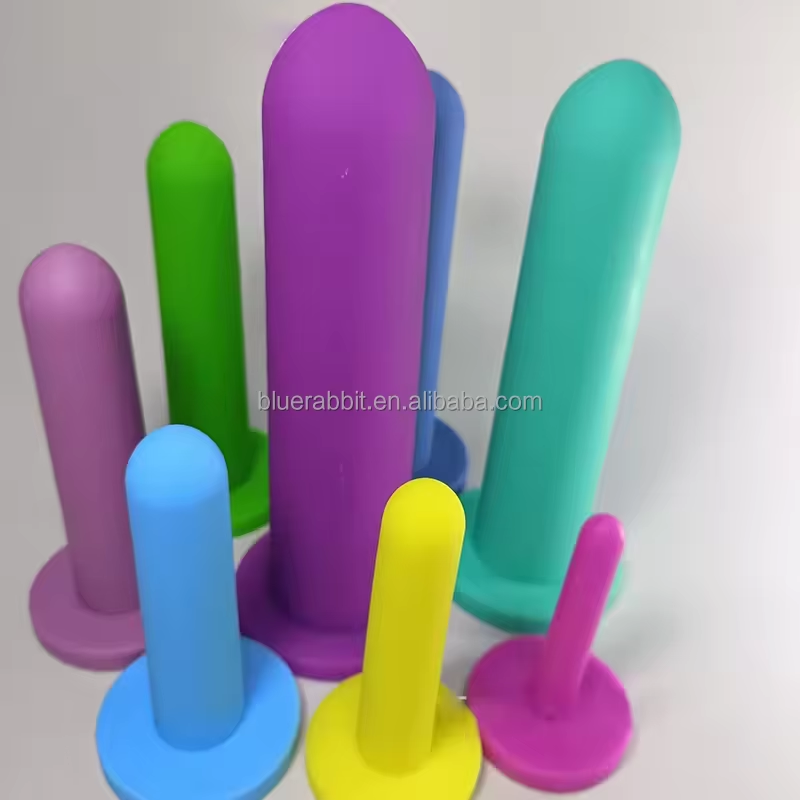 Professional Pelvic Floor Musc - Medical Laboratory Science ulasan dan harga